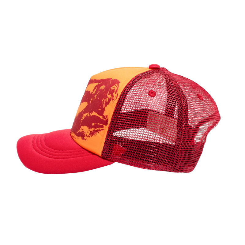 HEAVEN ON EARTH THE REX SKULL HAT